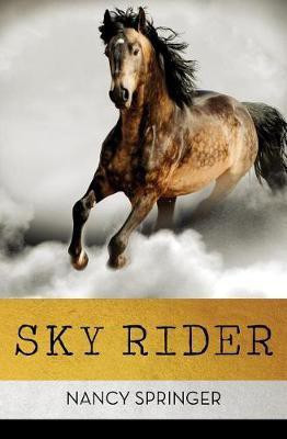 Sky Rider(English, Electronic book text, Springer Nancy)