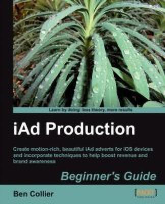 iAd Production Beginner's Guide(English, Electronic book text, Collier Ben)