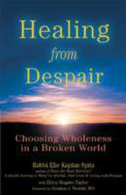 Healing from Despair(English, Paperback, unknown)