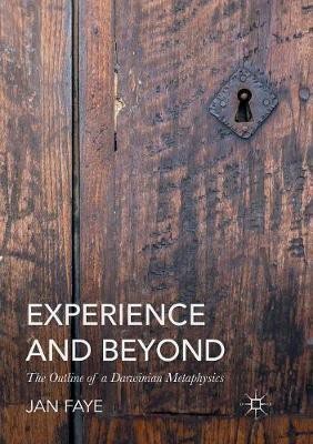 Experience and Beyond(English, Paperback, Faye Jan)