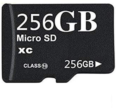 VSP Enterprises Basic 256 GB MicroSDXC Class 10 90 MB/s Memory Card