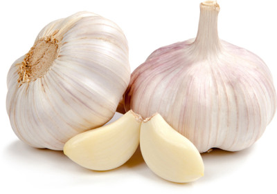 Garlic(240-260)