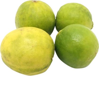 Lemon 6 Units