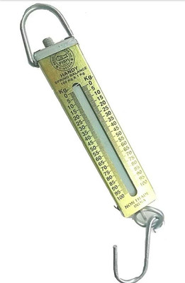

Air Soft AR-12 FISH 100KG SPRING BALANCE Weighing Scale(Gold)