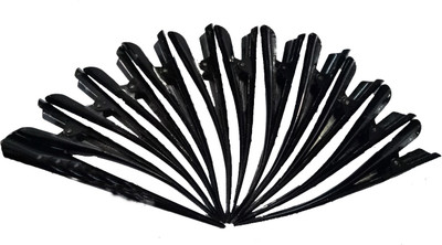 

S R Enterprises hair simple black JUDA pin use for hair (pack of 12pcs) Hair Accessory Set(Black)