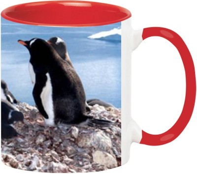 Ashvah Penguin 670 Ceramic Coffee Mug(350 ml)