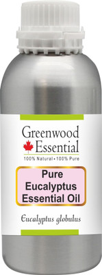 

Greenwood Essential Pure Eucalyptus Essential Oil (Eucalyptus globulus) 100% Natural Therapeutic Grade Steam Distilled(300 ml)