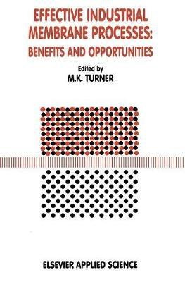 Effective Industrial Membrane Processes: Benefits and Opportunities(English, Hardcover, unknown)