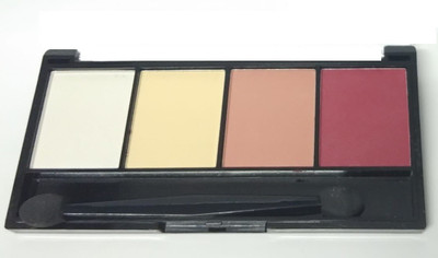 

ADJD EVERGREEN COLLECTION OF PROFESSIONAL'S MINI EYESHADOW KIT 12 g(MULTI)