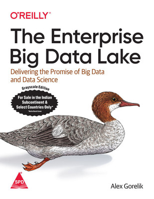 The Enterprise Big Data Lake: Delivering the Promise of Big Data and Data Science(English, Paperback, Alex Gorelik)