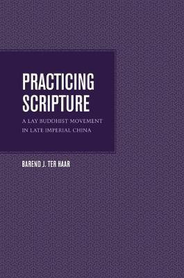 Practicing Scripture(English, Electronic book text, ter Haar Barend)