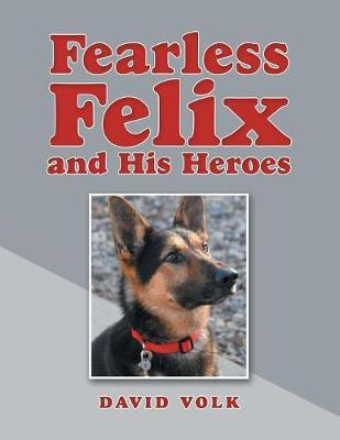 Fearless Felix and His Heroes(English, Paperback, Volk David)
