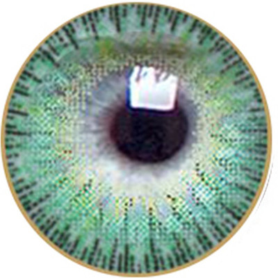 

Aura Lense_10 Monthly(0, Colored Contact Lenses, Pack of 1)