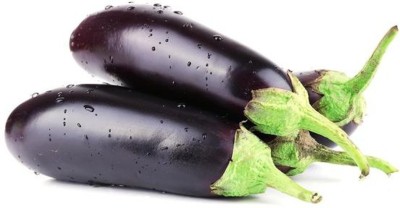 CYBEXIS TLX-58 - Brinjal Non-Hybrid Long (Baingan) - (1350 Seeds) Seed(1350 per packet)