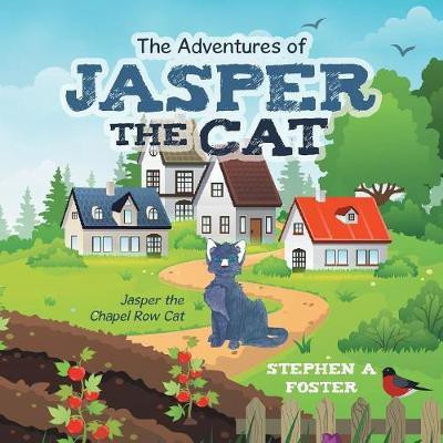 The Adventures of Jasper the Cat(English, Paperback, Foster Stephen A)