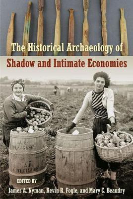 The Historical Archaeology of Shadow and Intimate Economies(English, Hardcover, unknown)