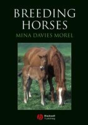 Breeding Horses(English, Paperback, Davies-Morel Mina)