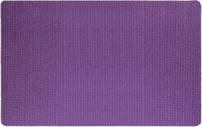 Flipkart SmartBuy PP (Polypropylene) Door Mat(Purple, Medium)