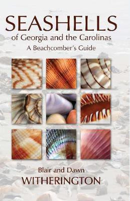 Seashells of Georgia and the Carolinas  - A Beachcomber's Guide(English, Paperback, Witherington Blair)