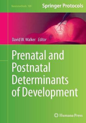 Prenatal and Postnatal Determinants of Development(English, Paperback, unknown)