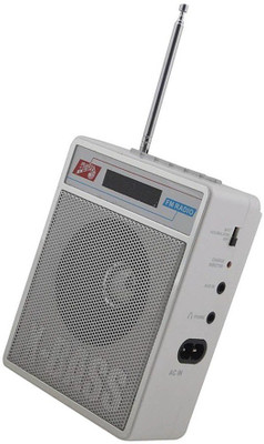 

Fangtooth Mini SL-413 Fm/Radio Mp3 Player Supports USB pen-drive, Aux & Memory card FM Radio(Silver White)