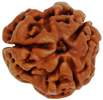 SHIVOHAM 3 Mukhi Nepal Rudraksha Lab Certified Wood Pendant