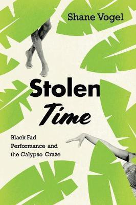 Stolen Time(English, Hardcover, Vogel Shane)