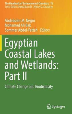 Egyptian Coastal Lakes and Wetlands: Part II(English, Hardcover, unknown)