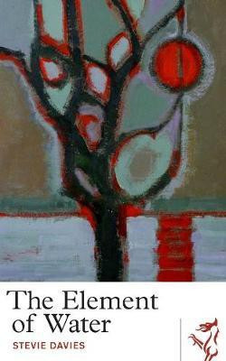 The Element of Water(English, Paperback, Davies Stevie)