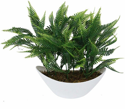 Yutiriti Miniature Artificial Small Green Leaf Shrub Grass Leaves Plant Indoor/Outdoor Artificial Plant  with Pot(22 cm, Green)