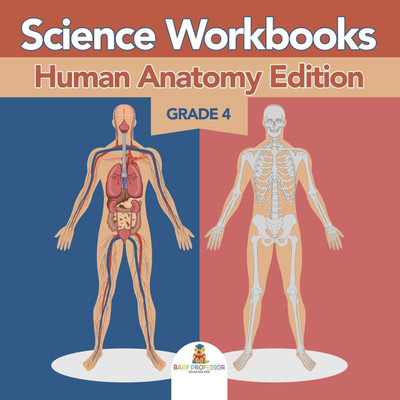 Grade 4 Science Workbooks(English, Paperback, Baby Professor)