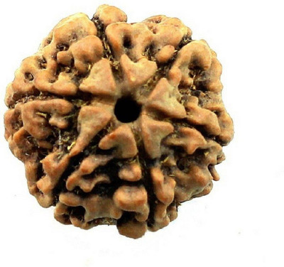 SHIVOHAM 6 Mukhi Nepal Rudraksha Lab Certified Wood Pendant