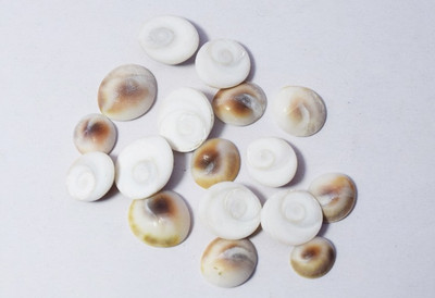 Naeva Natural Gomti Gomati Chakra - 21 pieces Marble Yantra(Pack of 21)