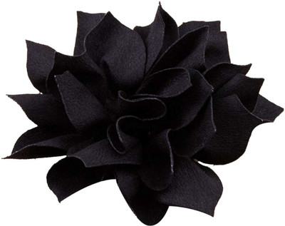 

fashionforsure Fashion Black colour hair clip for women (JB0131) Hair Clip(Black)