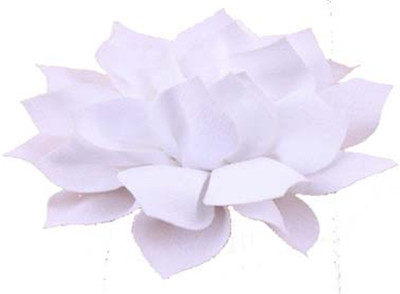 

fashionforsure Fashion White colour hair clip for women (JB0127) Hair Clip(White)
