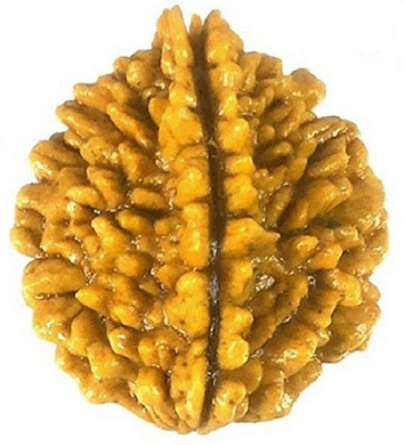SHIVOHAM 2 Mukhi Rudraksha 2 Face Rudraksha Wood Pendant
