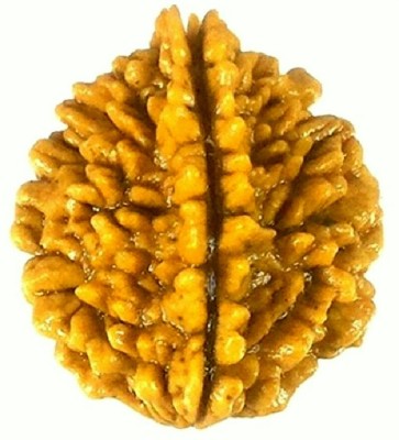 SHIVOHAM 2 Mukhi Rudraksha Lab Certified 2 Face Rudraksha Wood Pendant