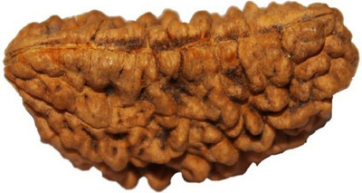 SHIVOHAM 1 Mukhi Rudraksha Lab Certified 1 Face Rudraksha Wood Pendant