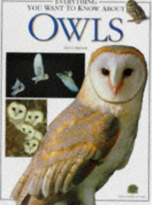 Everything You Want to Know About Owls(English, Paperback, Breese Dilys)