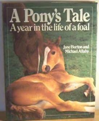 A Pony's Tale(English, Hardcover, Allaby Michael)