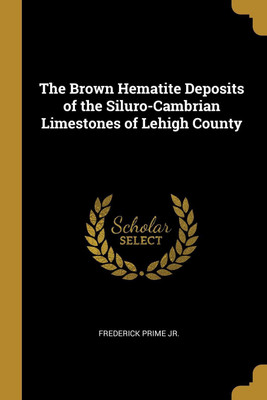 The Brown Hematite Deposits of the Siluro-Cambrian Limestones of Lehigh County(English, Paperback, unknown)