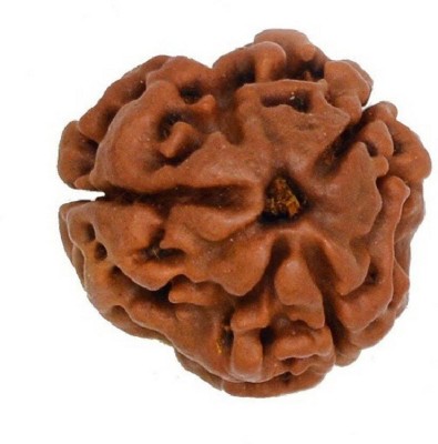 SHIVOHAM 3 Mukhi Nepali Rudraksha lab Certified 3 Face Rudraksha Wood Pendant