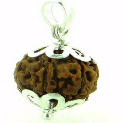 SHIVOHAM 3 Mukhi Nepali Rudraksha Silver Cap Lab Certified Wood Pendant