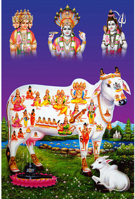 Poster N frame Kamdhenu containing various deities within her body / Brahma Vishnu Mahesh / Shivji / Shiva / Shivlinga / Om / Surabhi / The Mother of Cows / Mata Ji / Hinduism UV Textured Art Print Wall Poster unframed (Rolled) Paper Print(18 inch X 12 inch)