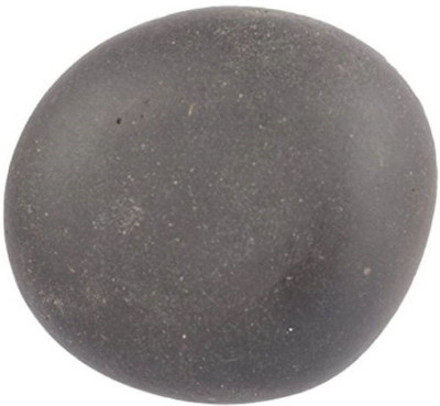ShivaRatna Saligram Shala Tilakdhari Madhav Decorative Showpiece - 4 cm Stoneware Yantra(Pack of 1)