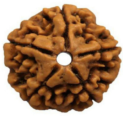 SHIVOHAM 5 Mukhi Nepali Rudraksha Lab Certified 5 Face Rudraksha Wood Pendant