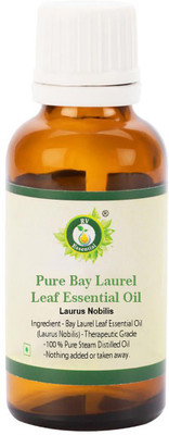 

R V Essential Pure Bay Laurel Leaf Essential Oil 30ml- Laurus Nobilis (100% Pure and Natural Therapeutic Grade)(30 ml)