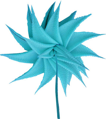 Futaba Rare Mini Succulent Cactus - Blue - 30 pcs Seed(30 per packet)