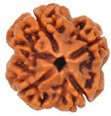 https://rukminim1.flixcart.com/image/400/400/jupu7ww0/pendant-locket/r/g/u/n4mukhirudraksha-astro-hub-original-imaffrvefhhhwskz.jpeg?q=90