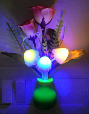 RANKONE MUSHROOM LIGHT AUTOMATIC SENSOR ON/OFF Night Lamp(10 cm, Multicolor)